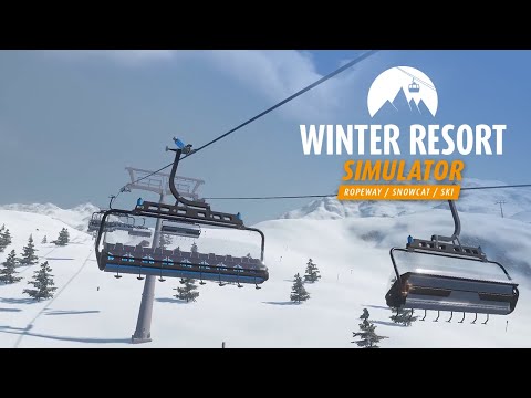 Pro ski simulator